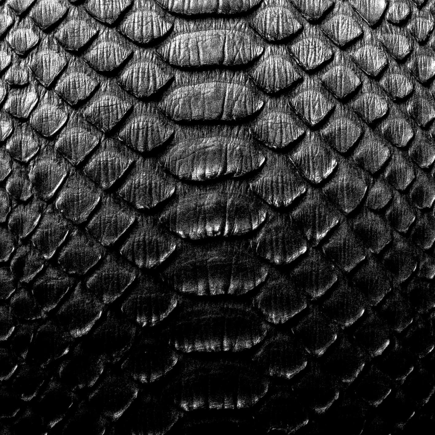 10MM Lever Belt - Onyx Python