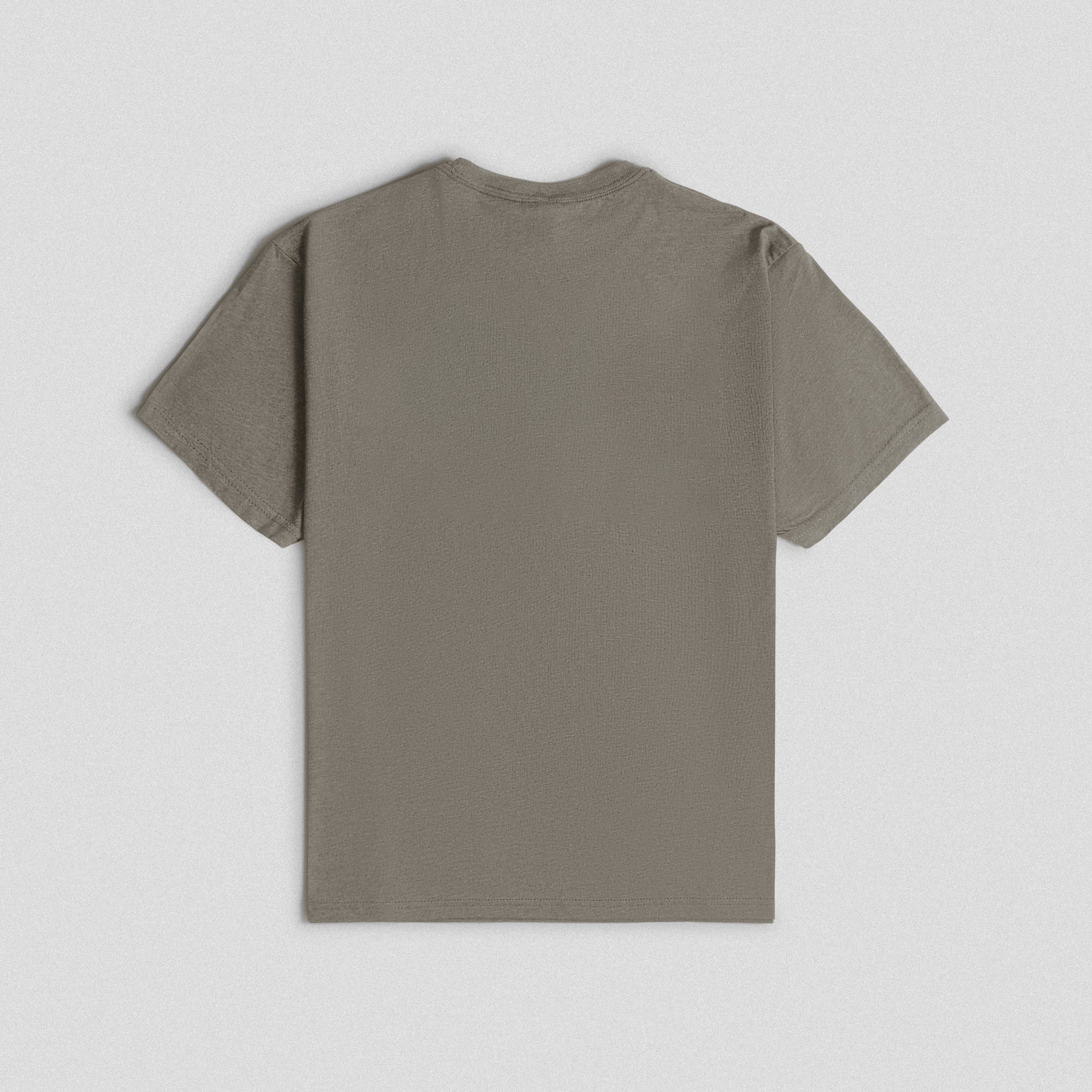 Olympia Distressed Basic Tee